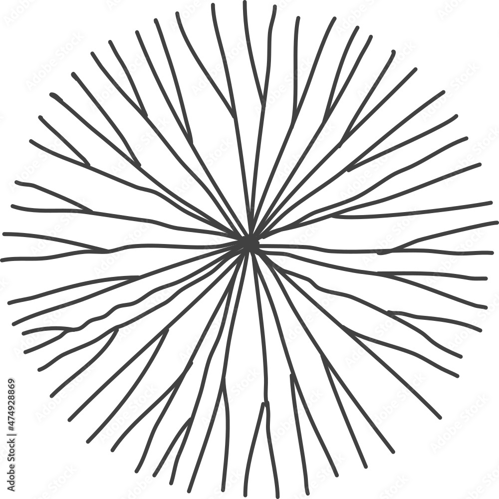 Fototapeta premium Tree plan hand drawn sketch icon top