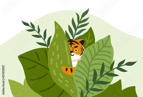Cute tiger peeking out from green leaves. Wild cat hiding in jungle. Animal in tropical thickets. Chinese symbol of new year 2022. Cartoon character for print, poster, calendar. Vector illustration.