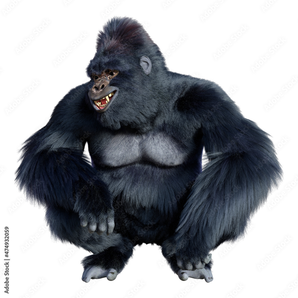 3D Rendering Black Gorilla Ape on White 3D Rendering Black Gorilla Ape on White