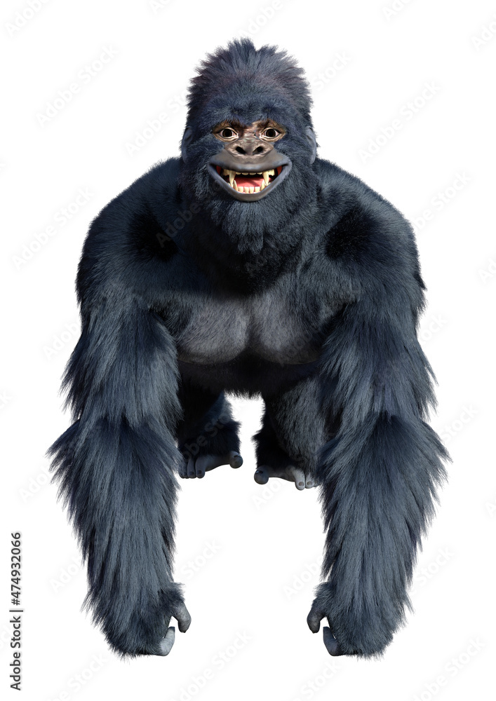 3D Rendering Black Gorilla Ape on White 3D Rendering Black Gorilla Ape on White