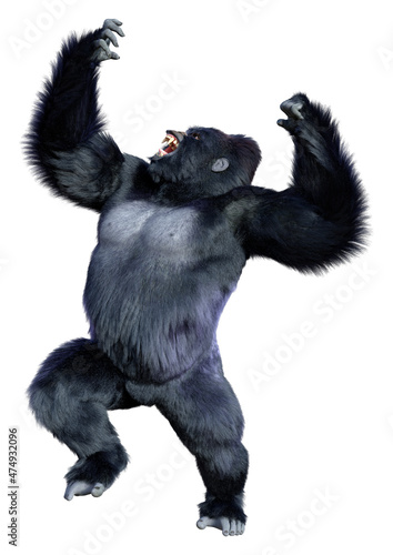 3D Rendering Black Gorilla Ape on White photo