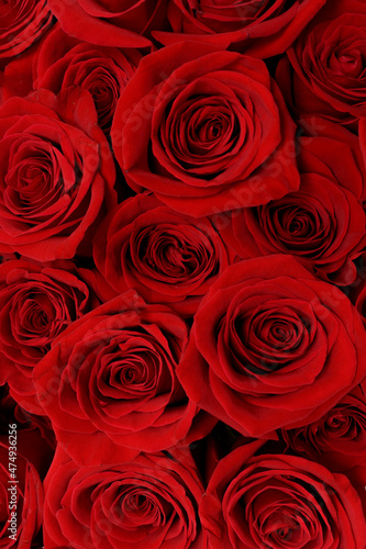 Red rose blossoms  view from above for background. Valentine s day background. Bouquet of red roses