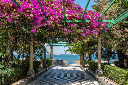 Flowers in Jardines de Alameda Apodaca, Cadiz