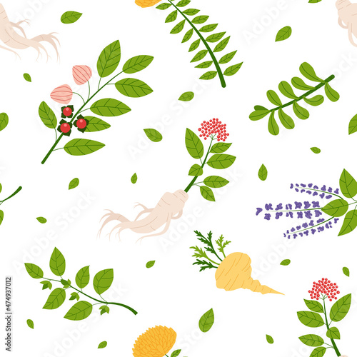 Seamless pattern of Ayurveda plants. The endless texture of adaptogenic herbal on white background. Flat vector.