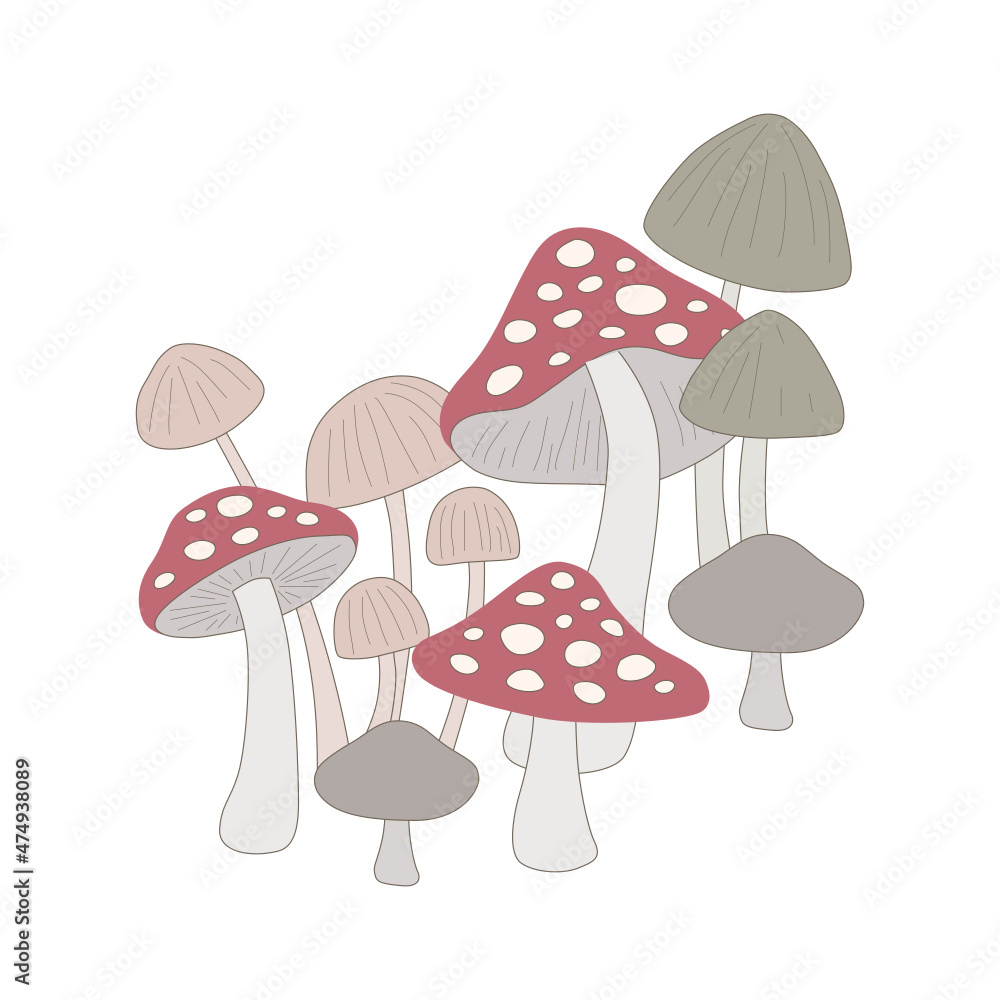 mushrooms