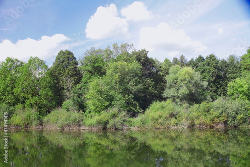 beautiful lake. Dense green trees on the shore. Blue sky with beautiful clouds.