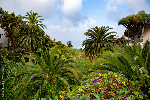 Taganana is a small village in Tenerife Island, Spain. photo