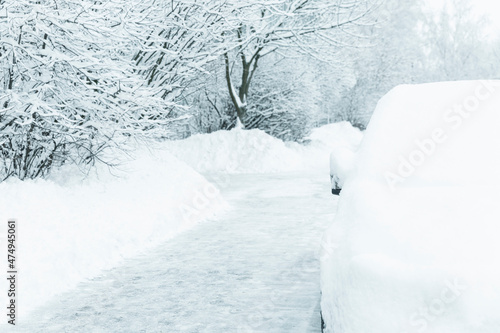 Wallpaper Mural Cars and trees under the snow. A beautiful winter fairy tale. Torontodigital.ca