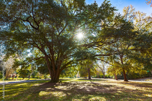 Cloverdale Park, Montgomery, Alabama