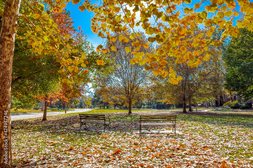 Cloverdale Park, Montgomery, Alabama