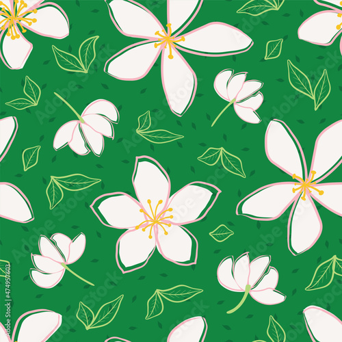 Jasmine floral vector seamless pattern background. Line art hand drawn flower heads, blossom, leaves, petals. Green white backdrop. Botanical repeat for medicinal healing plant. All over print