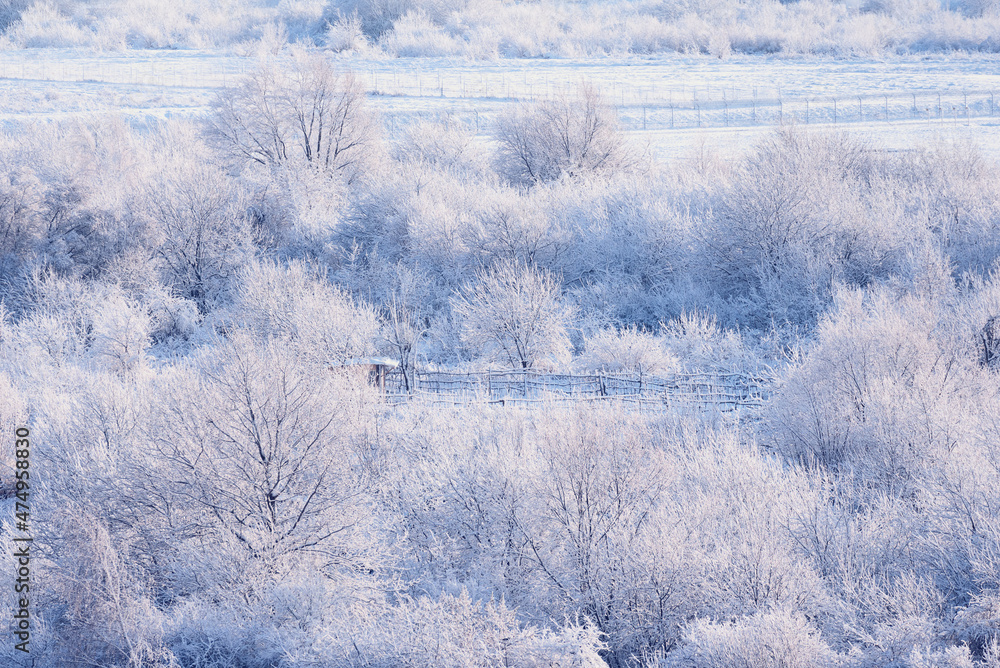 Winter beautiful landscape with trees covered with hoarfrost. Winter landscape Winter beautiful landscape with trees covered with hoarfrost. Winter landscape