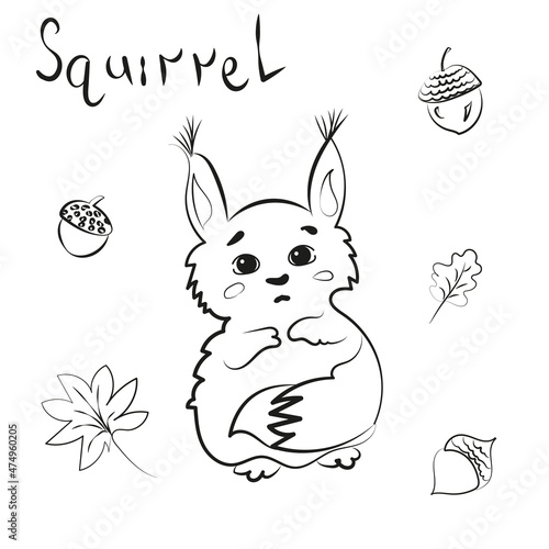 Children's character, cute squirrel, on the background there is a set of leaves, nuts and lettering.