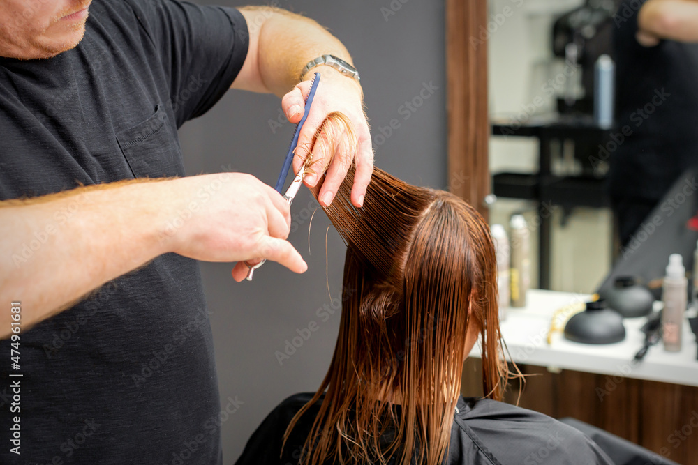 Naklejka premium Woman having a new haircut. Male hairstylist cutting brown hair with scissors in a hair salon