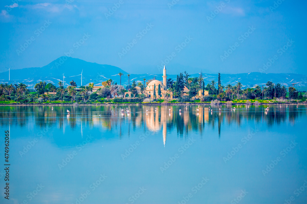 Flock of birds pink flamingo walking on the blue salt lake of Cyprus in the city of Larnaca, the concept of romance delicate background of love The Hala Sultan Tekke Mosque pink flamingo