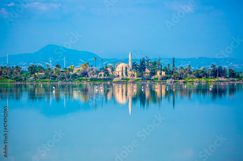 Flock of birds pink flamingo walking on the blue salt lake of Cyprus in the city of Larnaca, the concept of romance delicate background of love The Hala Sultan Tekke Mosque pink flamingo