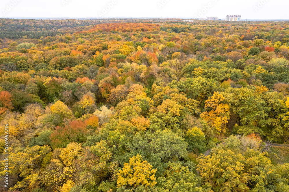 Aerial view of autumn city park