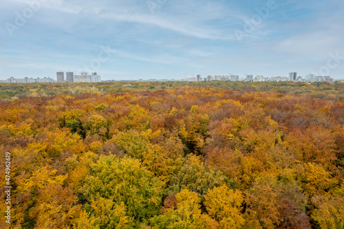 Aerial view from drone of autumn park at city