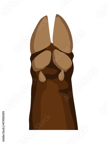 Animal paw. Animalistic foot of bison. Funny pet. Cute cartoon animal body part isolated on white background