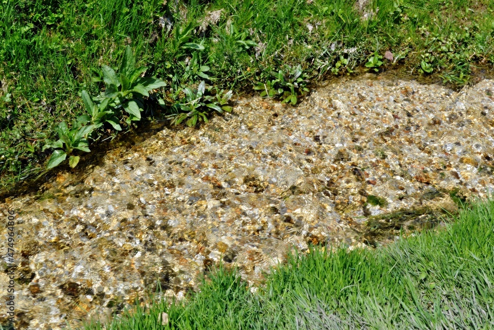 Obraz premium a stream in the grass