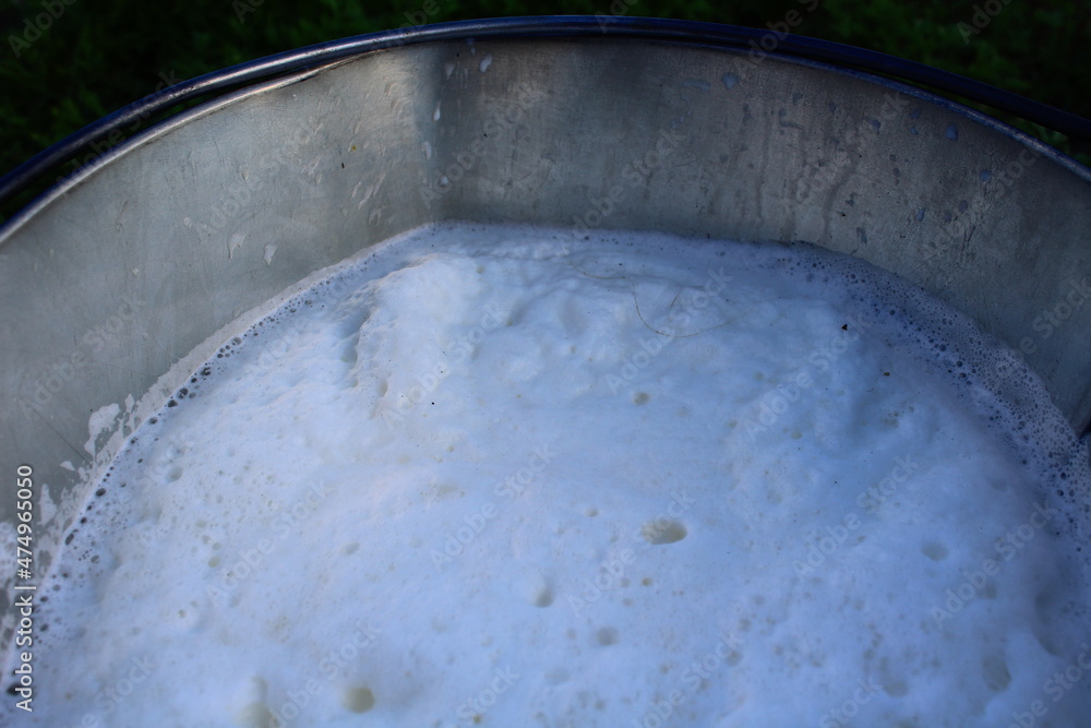 Fresh milk in the bucket Fresh milk in the bucket