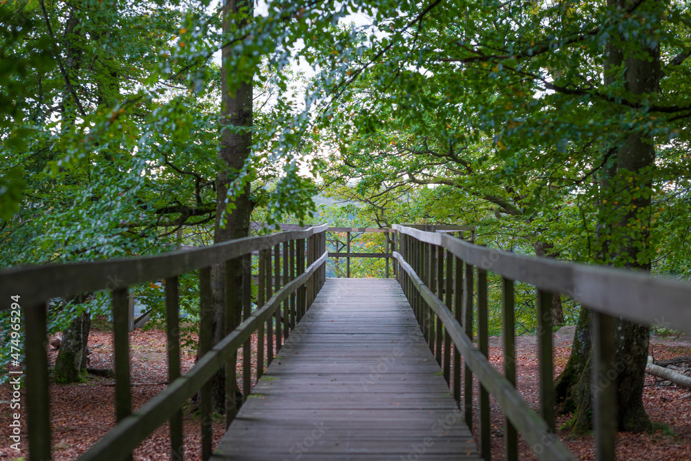 A boardwalk in Söderåsen National Park, Sweden	