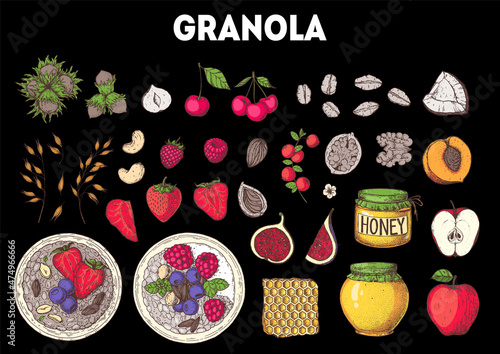 Granola ingredients illustration. Oat flakes , berries, fruits and nuts hand drawn. Granola Breakfast. Muesli food menu design. Hand drawn vector illustration. Granola design.