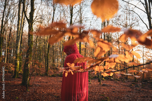 Wizard or Witch och Sorcerer or Sorceress or other fantasy character in the Swedish autumn woodlands photo