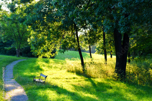 morning park