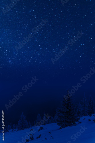 Winter landscape with forest and stars