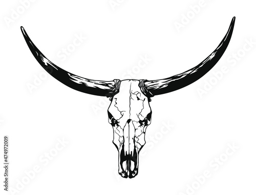 Buffalo skull - hand drawn vector illustration isolated on white background