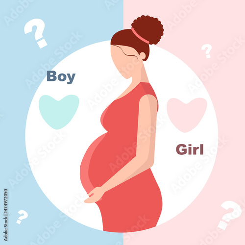 Pregnant woman awaiting baby boy or girl. Illustration in flat style