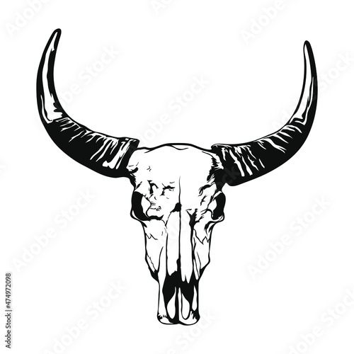 Buffalo skull - hand drawn vector illustration isolated on white background