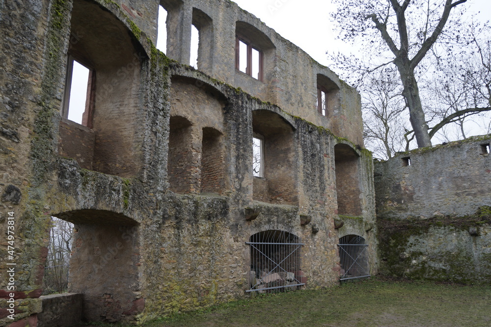 Burgruine Landkrone Burgruine Landkrone
