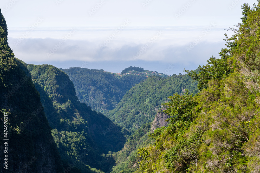 Naklejka premium Mountain landscape
