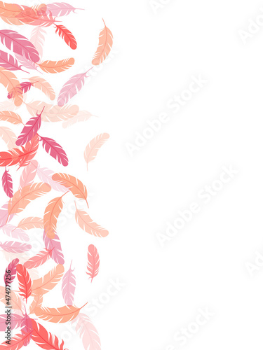 Falling feather elements soft vector design.