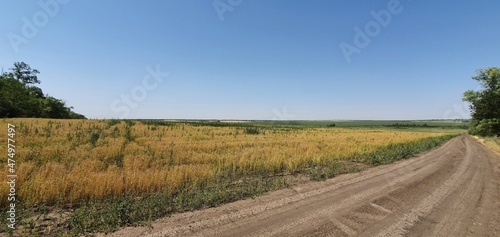 russian field