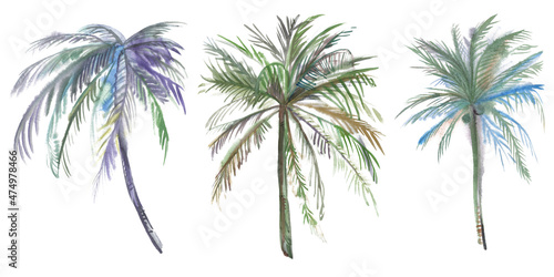 Set of illustrations of Coconut trees painted in watercolor isolated on white background for textile design and art production