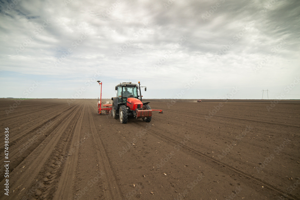 Sowing crops at agricultural fields in spring