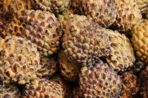 Custard apple (Ashta)