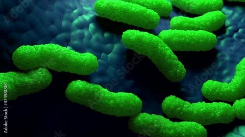 green rod-shaped bacteria on a blue background. The bacteria could be E. coli, a type of bacteria commonly found in the intestines of humans and animals.  E. coli can cause food poisoning photo