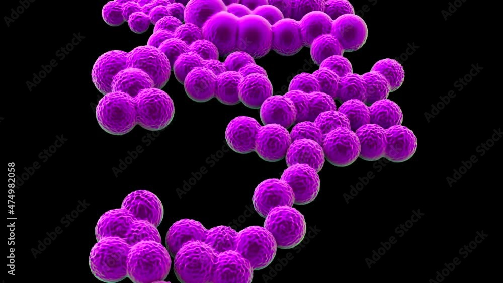 MRSA Bacteria or Super Bug Bacteria MRSA Bacteria or Super Bug Bacteria