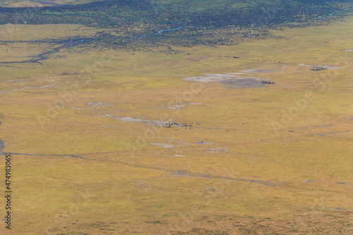 Aerial view of Ngorongoro crater national park in Tanzania