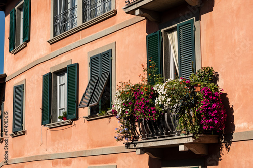Fotografie Windows and flowers