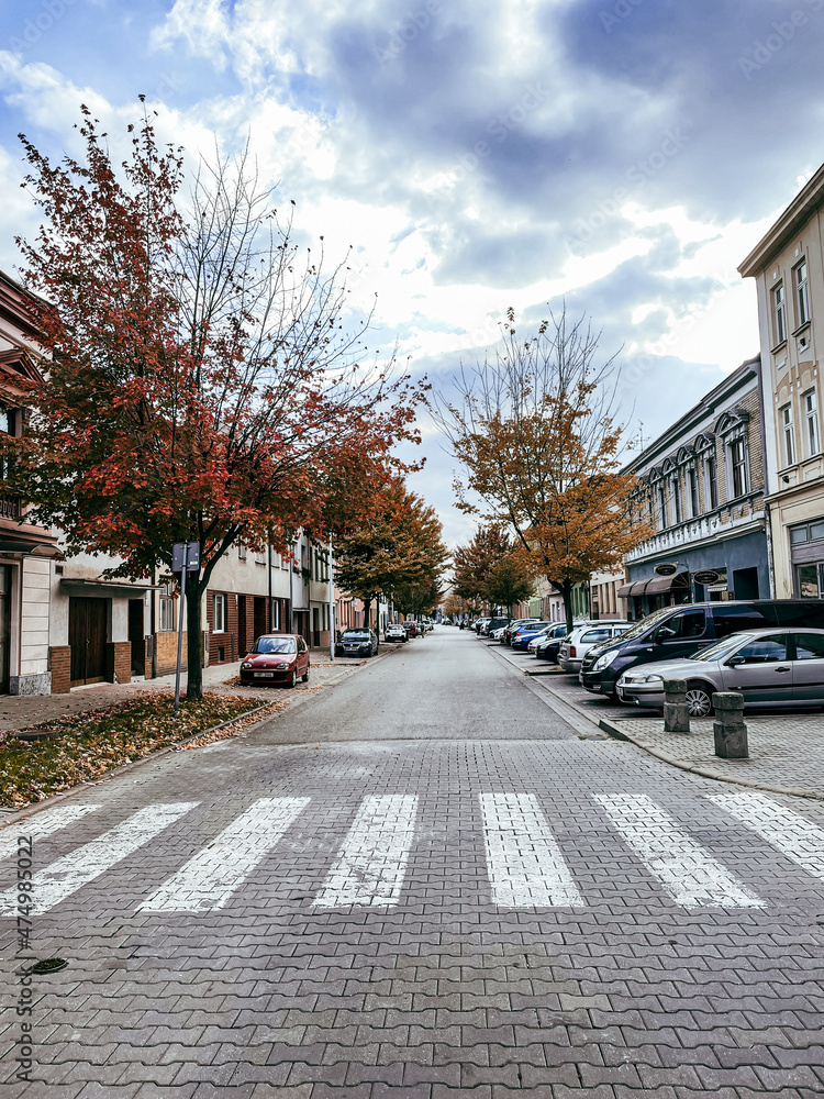 Autumn street with zebra crossing