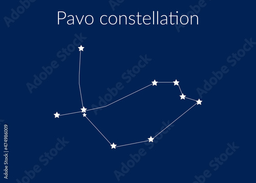 Pavo zodiac constellation sign with stars on blue background of cosmic sky