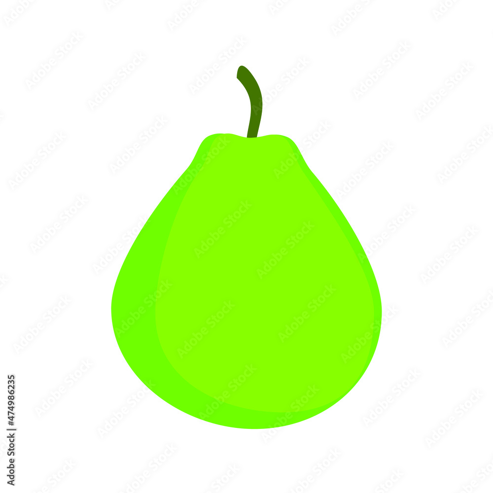 Guava illustration vector  .  Isolated on white background.