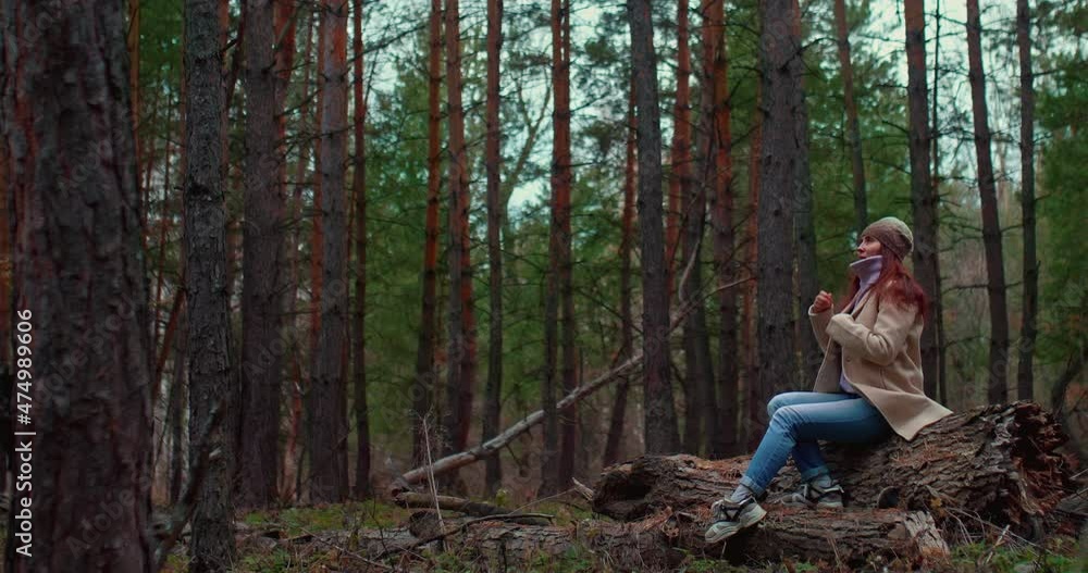 Beautiful girl admires nature in a coniferous forest. Girl is sitting on a log and touching the collar of a sweater with her hands, a cool autumn day. Tall pines and firs, a dense beautiful forest. 4k Beautiful girl admires nature in a coniferous forest. Girl is sitting on a log and touching the collar of a sweater with her hands, a cool autumn day. Tall pines and firs, a dense beautiful forest. 4k