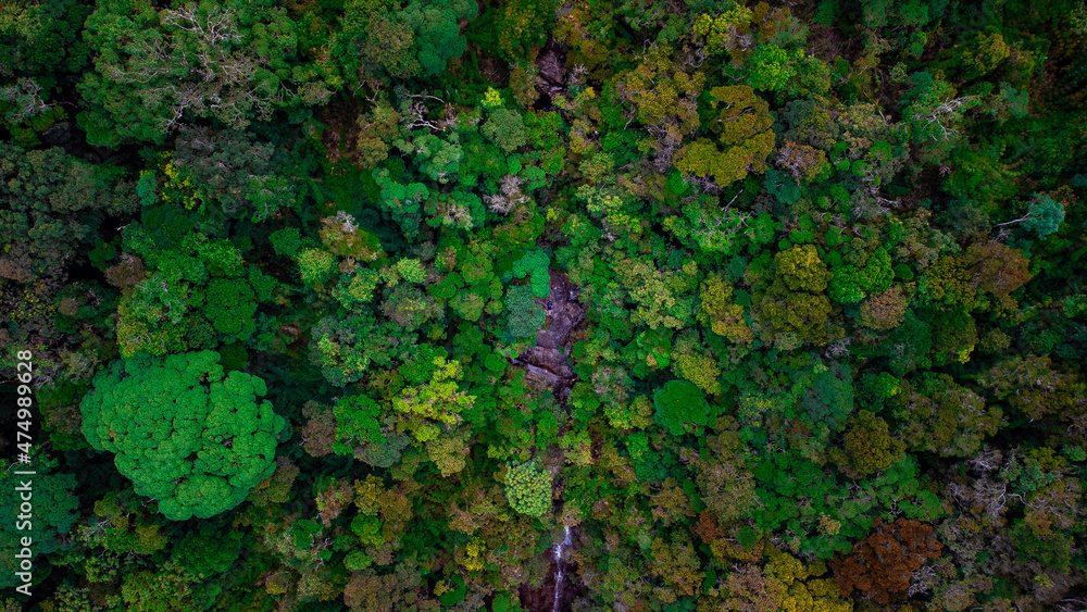 Fotografia aérea feia na serra do mar PARANÁ Fotografia aérea feia na serra do mar PARANÁ