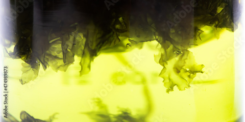 green alga research experim...